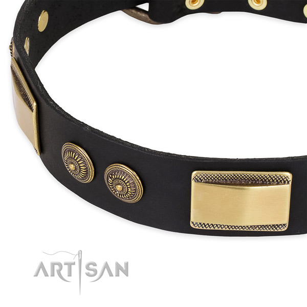 Studded genuine leather collar for your lovely dog