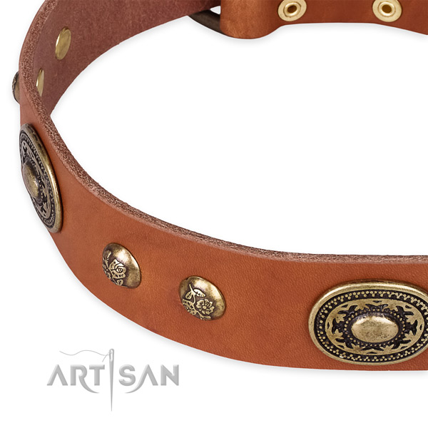 Fine quality natural leather collar for your lovely canine