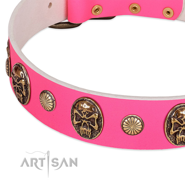 Reliable traditional buckle on natural genuine leather dog collar for your four-legged friend