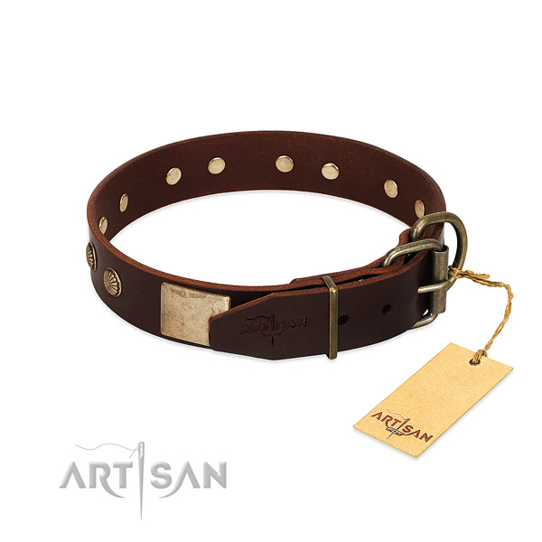 Corrosion proof D-ring on easy wearing dog collar
