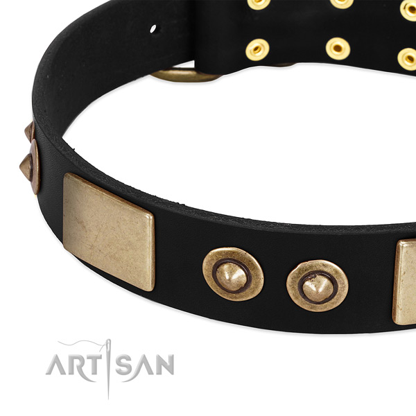 Corrosion proof decorations on full grain natural leather dog collar for your dog