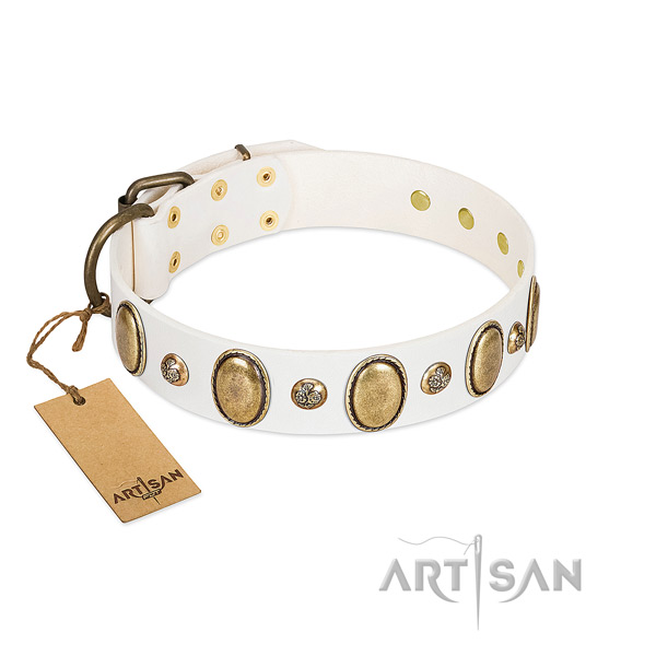 Leather dog collar of gentle to touch material with extraordinary embellishments