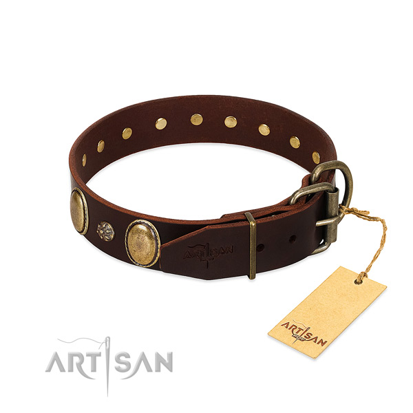 Everyday walking best quality full grain natural leather dog collar