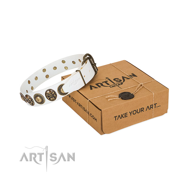 Rust resistant fittings on dog collar for daily walking