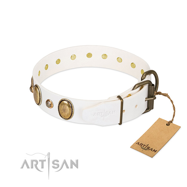 Walking full grain leather dog collar