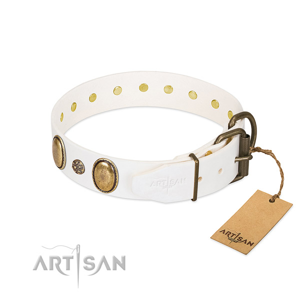 Daily use high quality leather dog collar