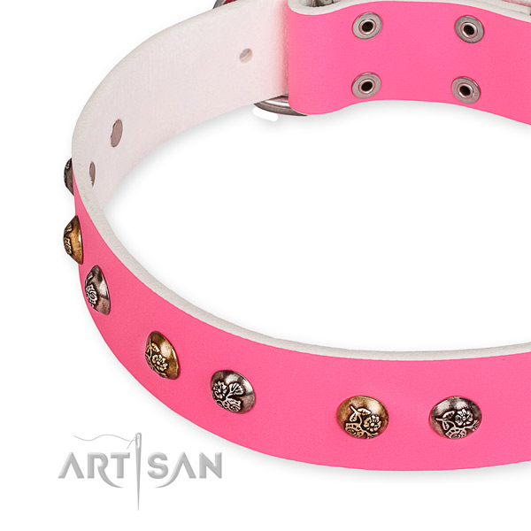 Leather dog collar with top notch durable decorations