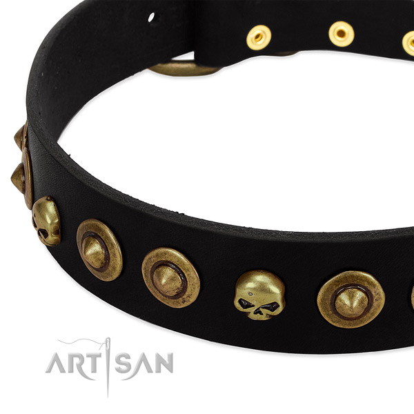 Full grain leather dog collar with stylish decorations