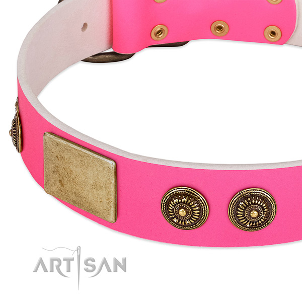 Impressive dog collar handcrafted for your lovely four-legged friend
