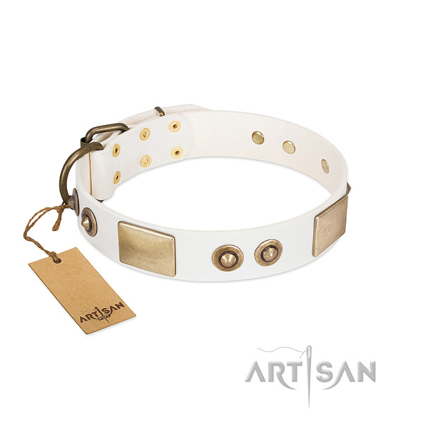 Rust resistant fittings on natural genuine leather dog collar for your four-legged friend