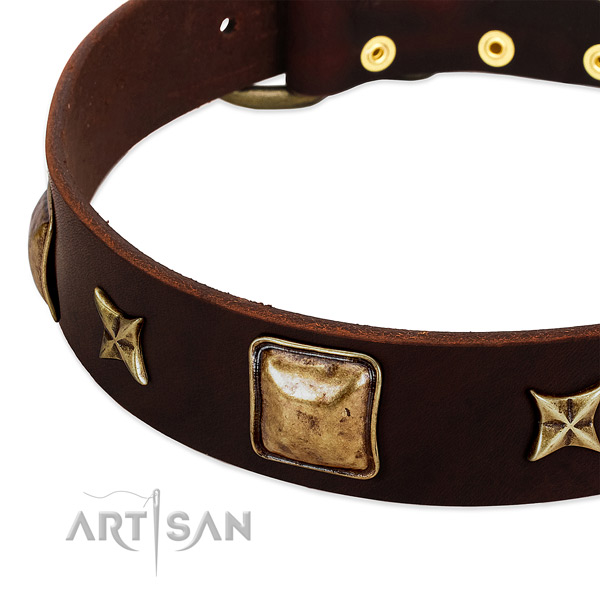 Reliable D-ring on full grain leather dog collar for your doggie
