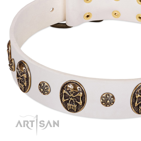 Corrosion resistant adornments on genuine leather dog collar for your pet