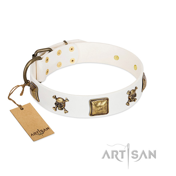 Trendy full grain leather dog collar with durable studs