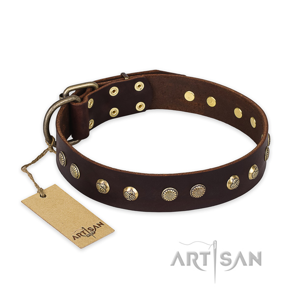 Impressive genuine leather dog collar with corrosion resistant hardware