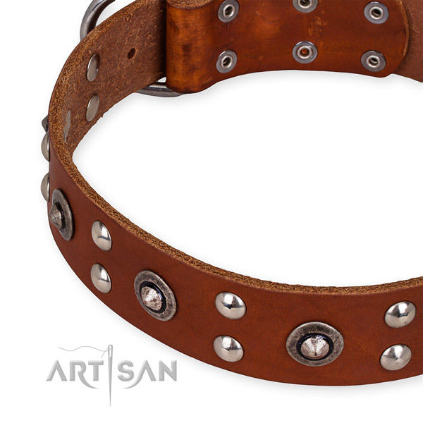 Full grain leather collar with reliable buckle for your lovely canine