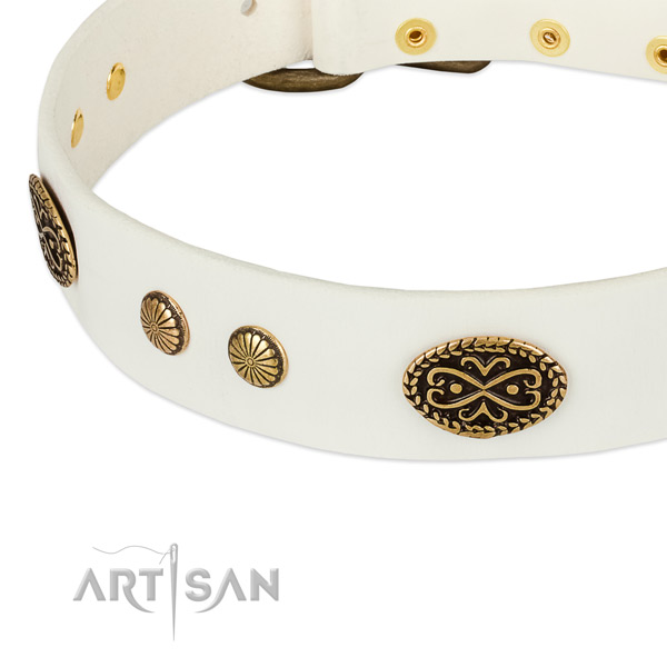 Corrosion proof adornments on full grain leather dog collar for your canine