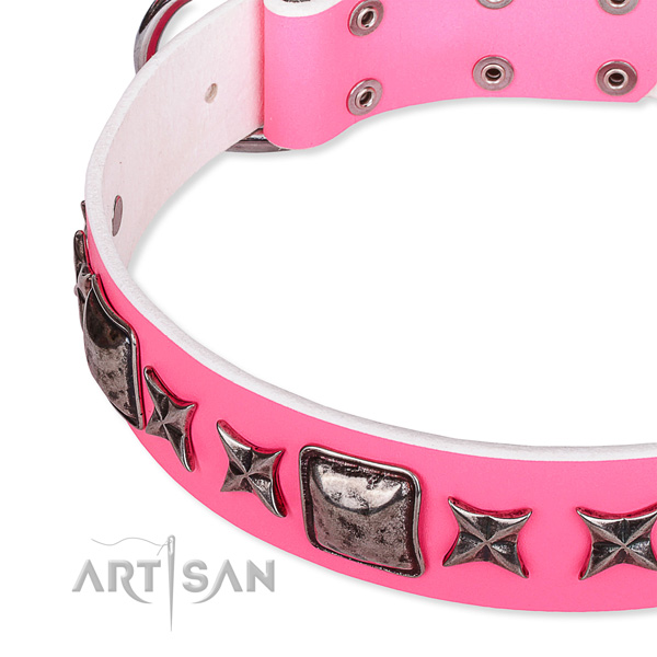 Fancy walking studded dog collar of fine quality full grain genuine leather