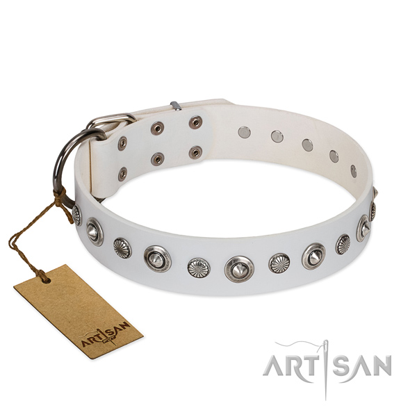 Durable natural leather dog collar with stylish studs