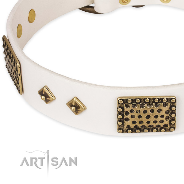 Strong studs on genuine leather dog collar for your four-legged friend
