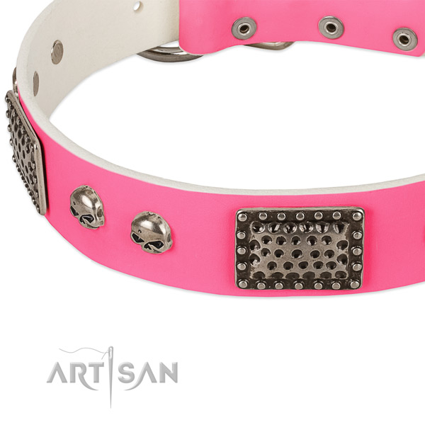 Strong adornments on natural leather dog collar for your pet
