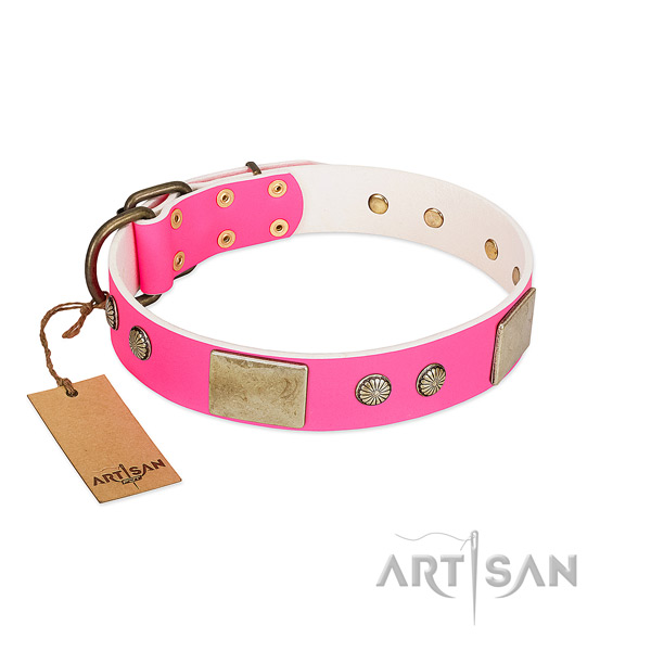 Easy to adjust natural leather dog collar for stylish walking your pet