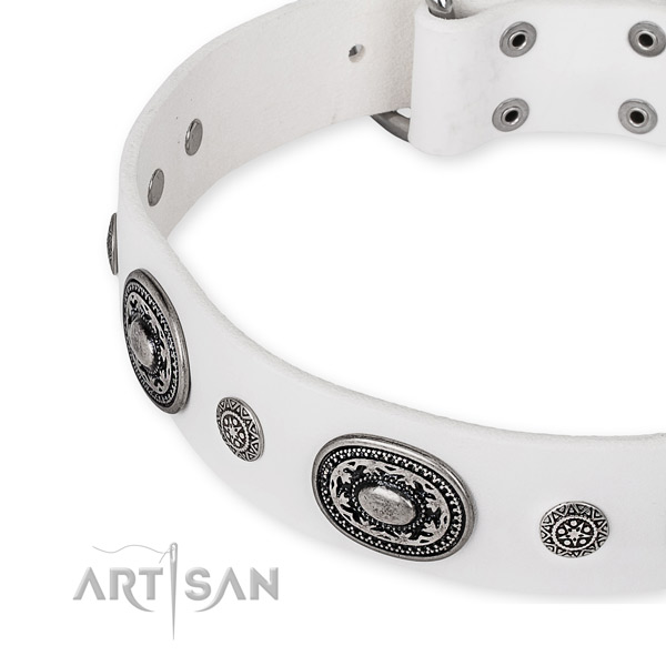 Soft to touch full grain natural leather dog collar handmade for your beautiful dog