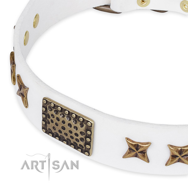Natural genuine leather collar with corrosion resistant hardware for your stylish pet