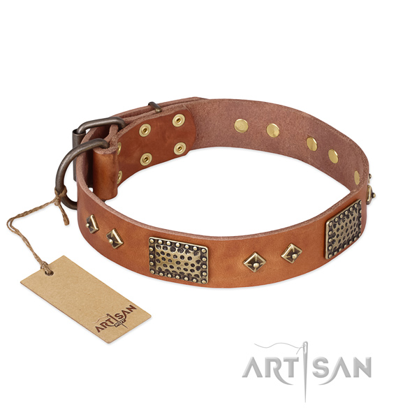 Easy to adjust genuine leather dog collar for daily use