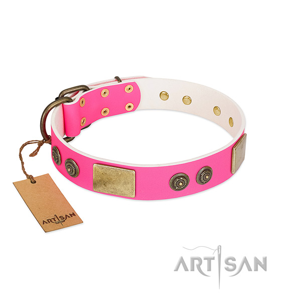 Inimitable full grain natural leather dog collar for comfy wearing