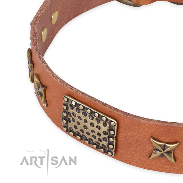 Natural genuine leather collar with strong traditional buckle for your beautiful four-legged friend