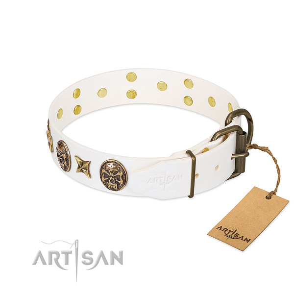 Corrosion proof hardware on natural genuine leather collar for walking your pet