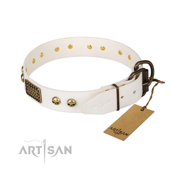 Easy adjustable leather dog collar for stylish walking your doggie