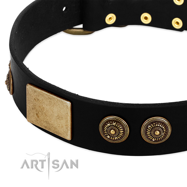 Corrosion resistant embellishments on full grain natural leather dog collar for your doggie