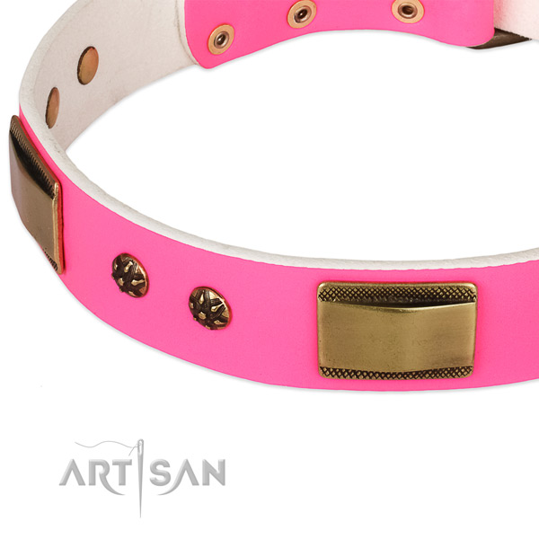 Corrosion resistant studs on genuine leather dog collar for your pet