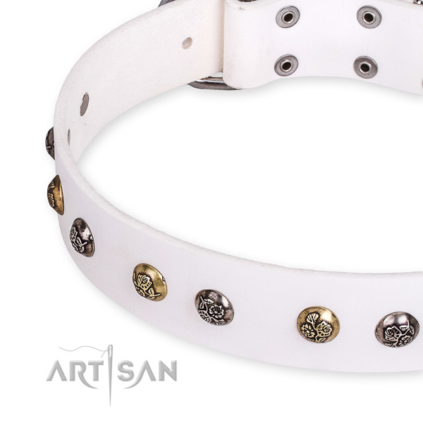 Full grain natural leather dog collar with trendy strong adornments