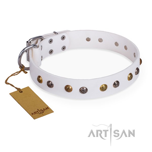 Comfy wearing unusual dog collar with reliable traditional buckle