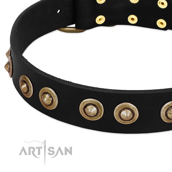 Rust-proof hardware on full grain leather dog collar for your pet