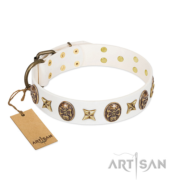 Decorated full grain genuine leather dog collar for basic training