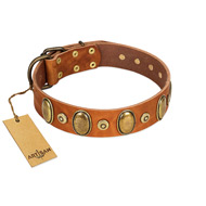 "Crystal Sand" FDT Artisan Tan Leather English Bulldog Collar with Vintage Looking Oval and Round Studs