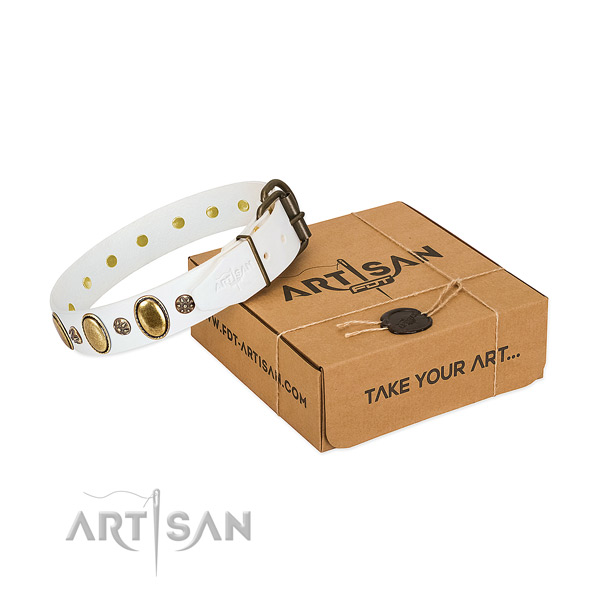 Everyday walking best quality natural genuine leather dog collar with embellishments