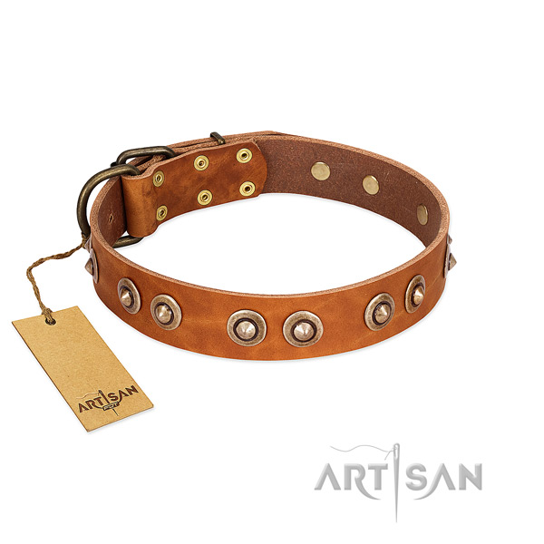 Strong buckle on full grain leather dog collar for your dog