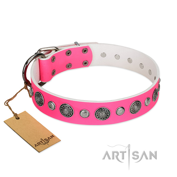 Durable genuine leather dog collar with rust-proof D-ring