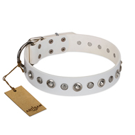 "Infinite Purity" White FDT Artisan Leather English Bulldog Collar with Elegant Decorations "Infinite Purity" White FDT Artisan Leather English Bulldog Collar with Elegant Decorations