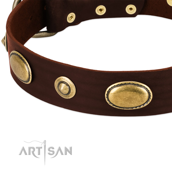 Corrosion resistant hardware on leather dog collar for your canine