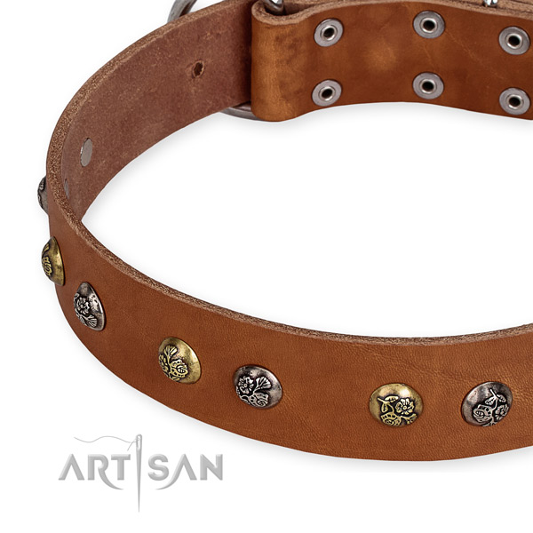 Genuine leather dog collar with unique corrosion resistant embellishments