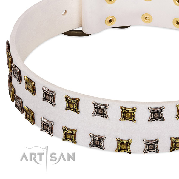 Best quality natural leather dog collar for your beautiful dog