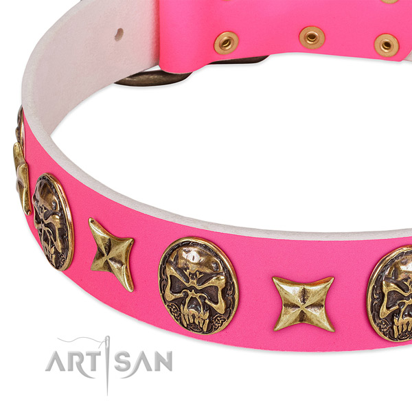 Full grain genuine leather dog collar with impressive studs