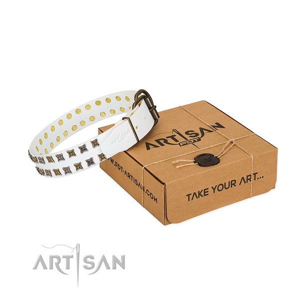 Genuine leather collar with significant studs for your pet
