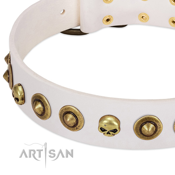Fashionable studs on full grain natural leather collar for your doggie