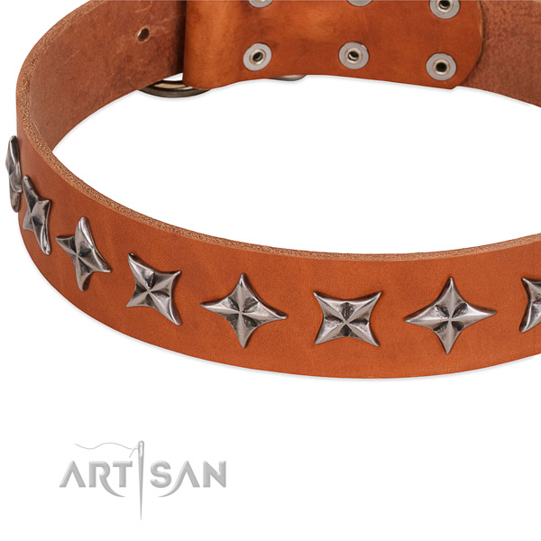 Stylish walking decorated dog collar of quality natural leather